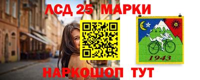 гидропоника Пенза