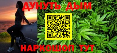 гидропоника Пенза
