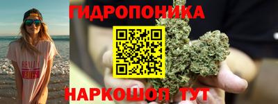 гидропоника Пенза