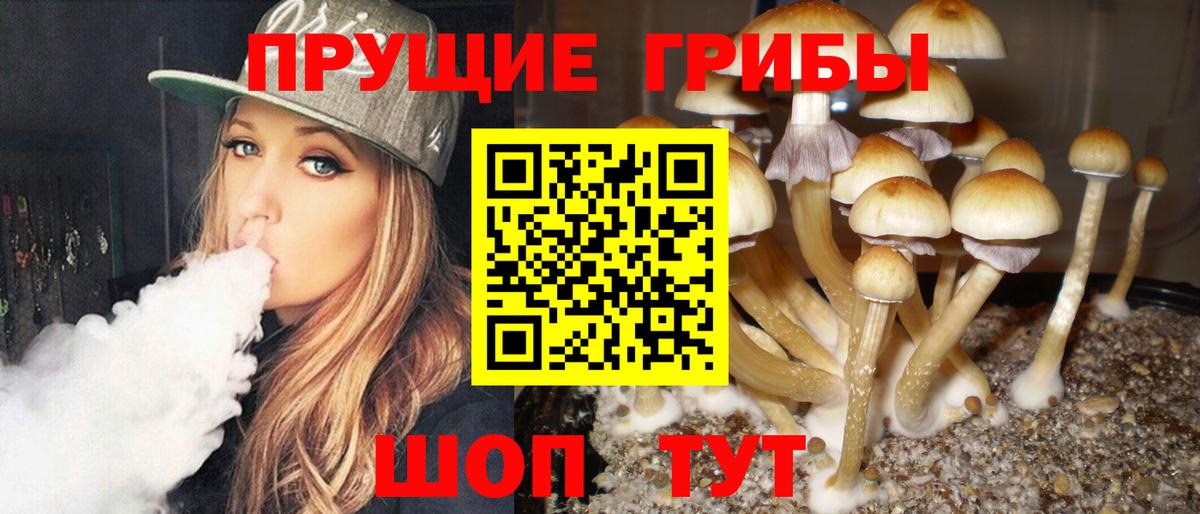 Холмск  Псилоцибиновые грибы Psilocybe  Вход с VPN  Псилоцибиновые грибы GOLDEN TEACHER 