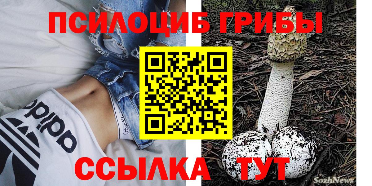 Псилоцибиновые грибы мухоморы Холмск